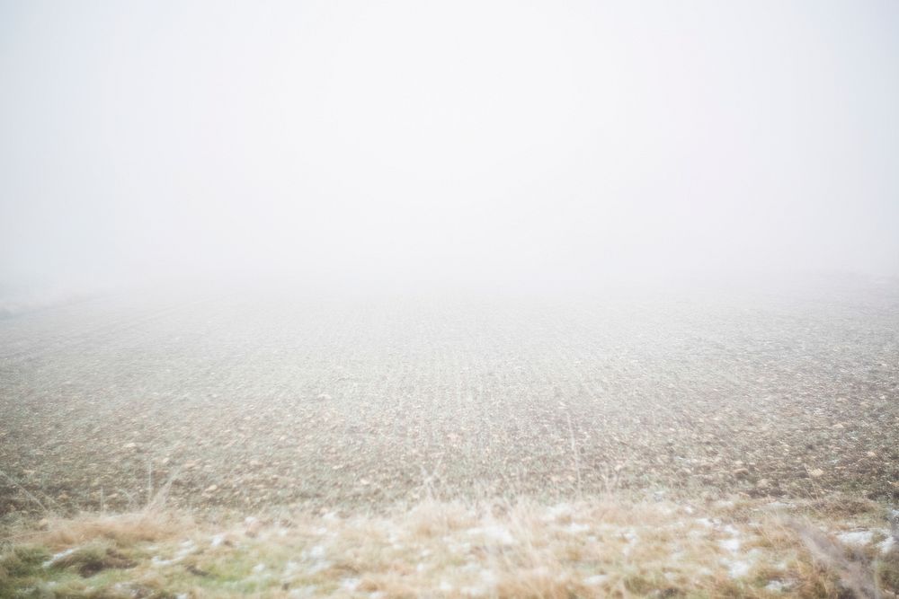 Snowing over a field