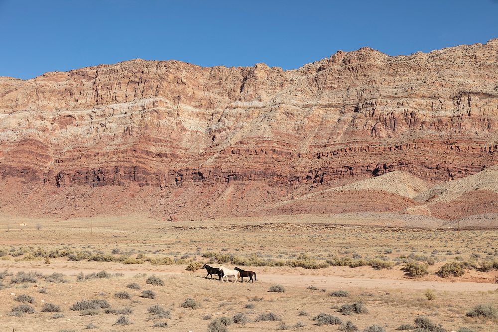 Horses running near a settlement called The Gap, on the remote Navajo Nation&rsquo;s lands in far-northeastern Arizona.