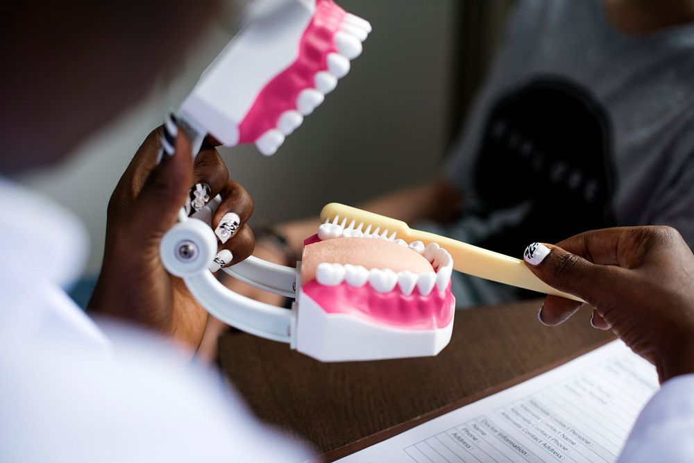 Dentist demonstrating oral hygiene with a dental jaw model
