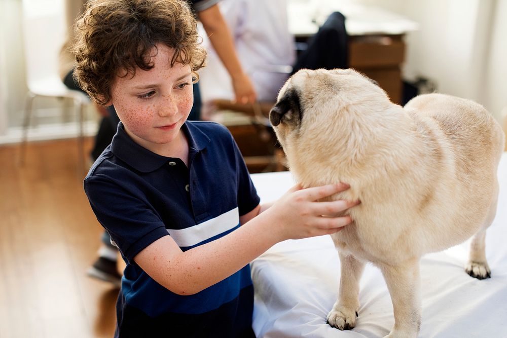 Little boy playing with a pug