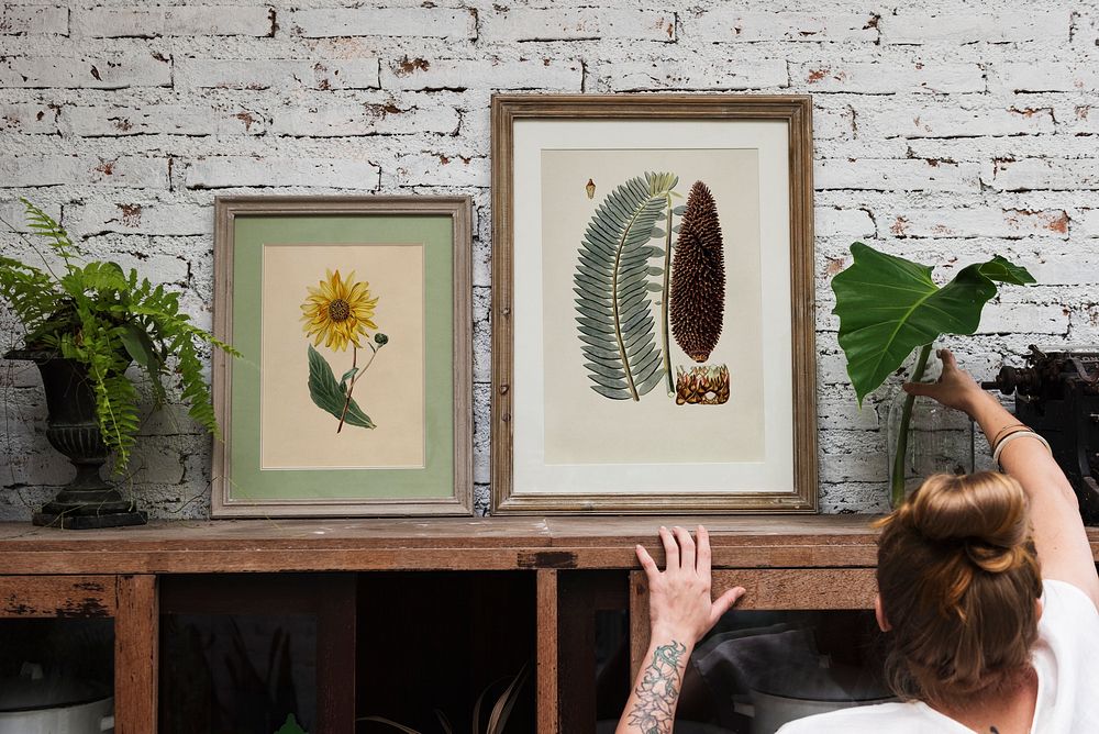 Framed images with a brick wall background