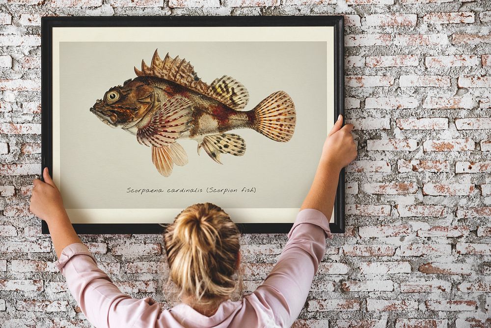 Photo of hand drawing fish in a frame