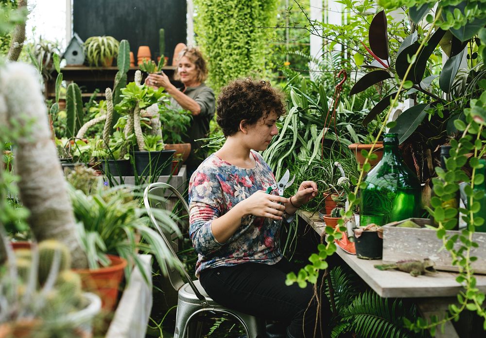 Women working in a garden shop