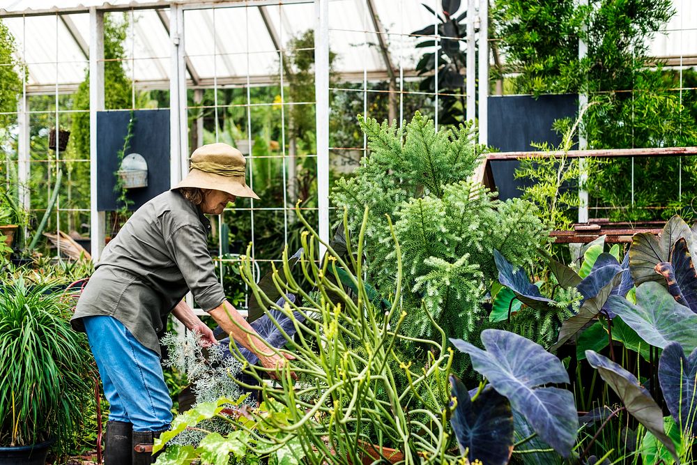 Woman gardening alone in a glass house