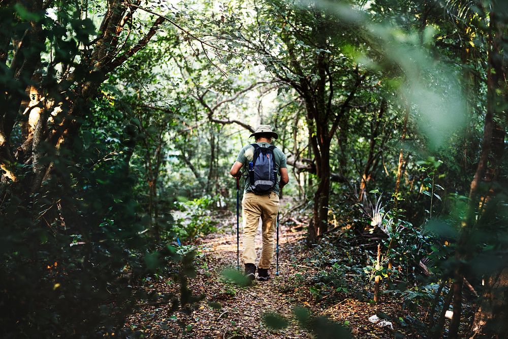 Man trekking in a forest