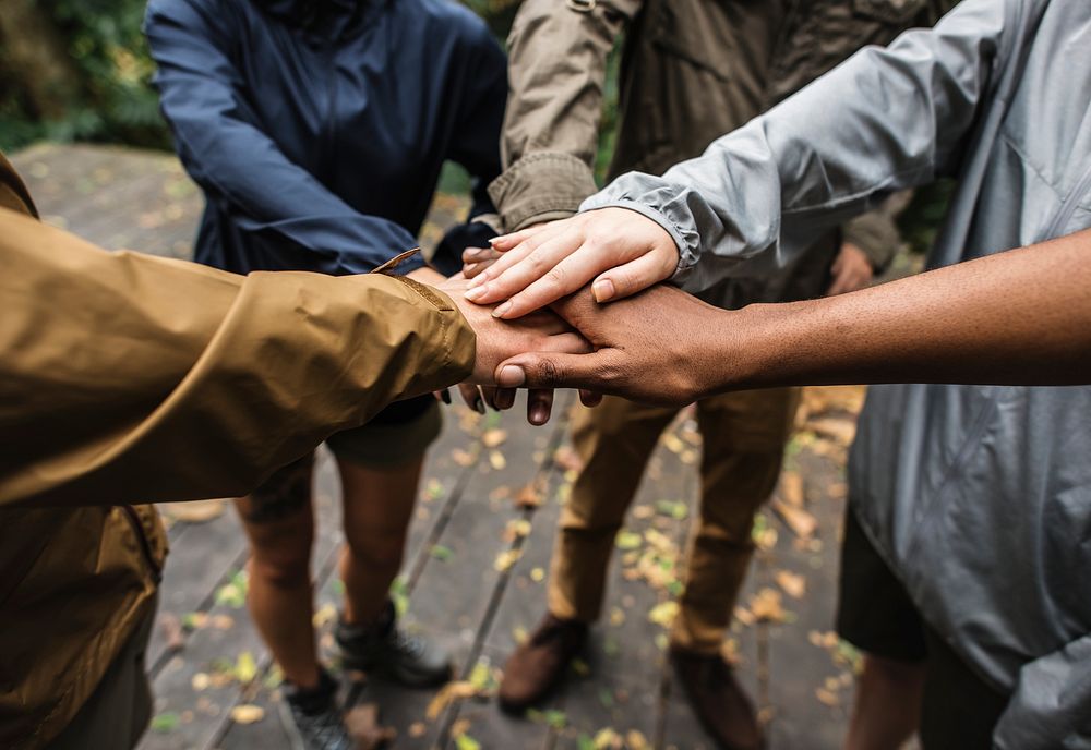 Outdoors team building exercise in the forest