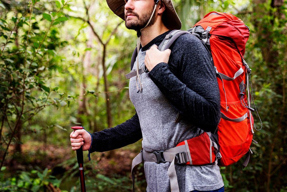 Trekking in a forest | Premium Photo - rawpixel