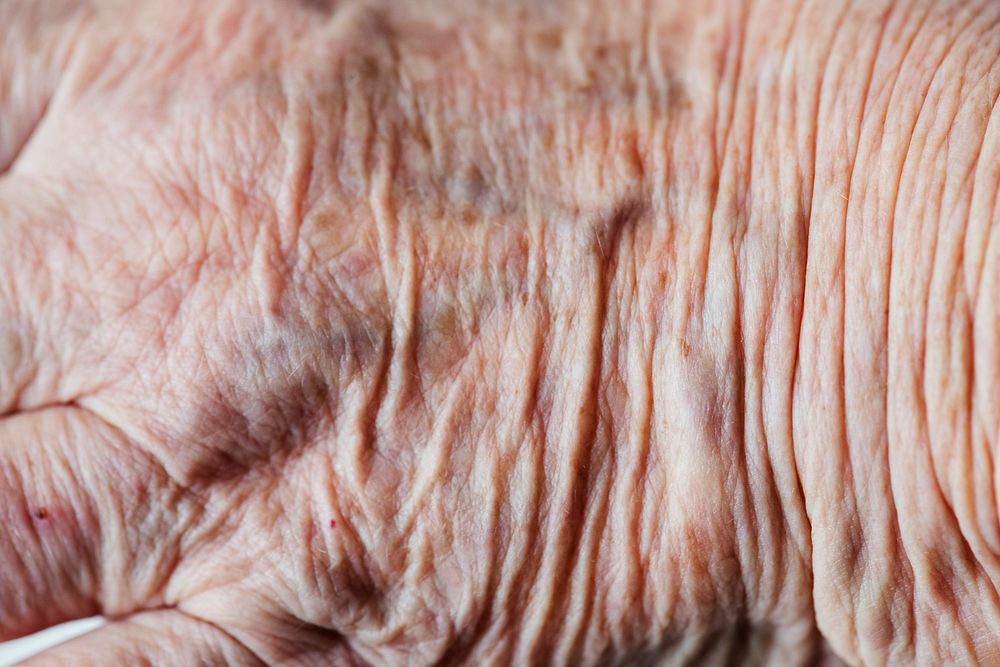 Closeup of wrinkled hand