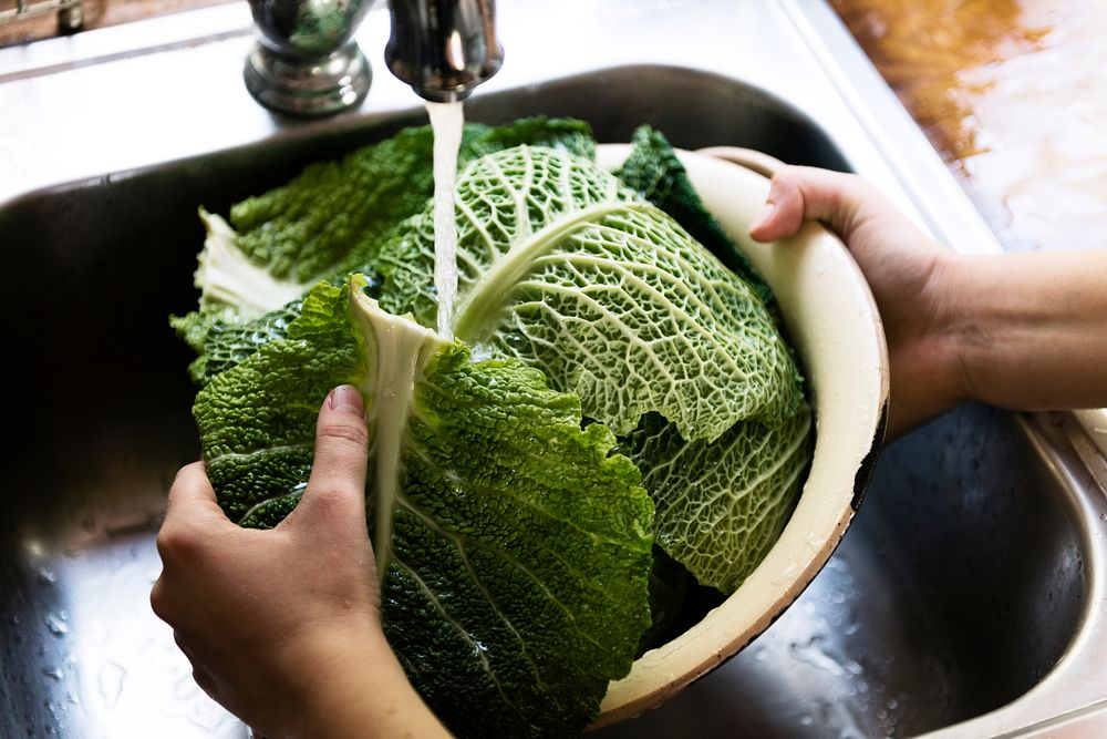 Big Cabbage being washed in a sink