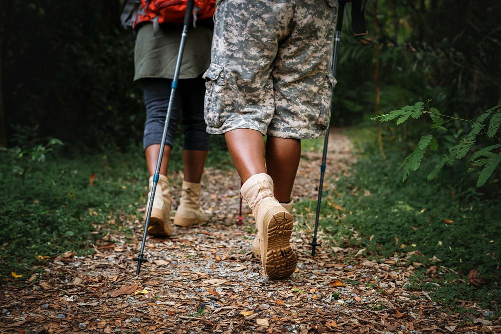 People trekking in the forest