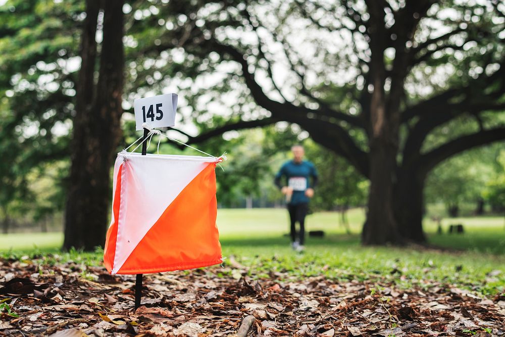 Orienteering box outdoor in a forest