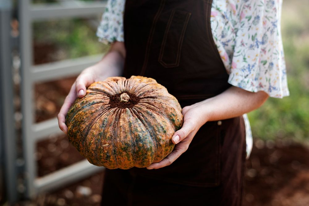 Female farmer holding a large pumpkin
