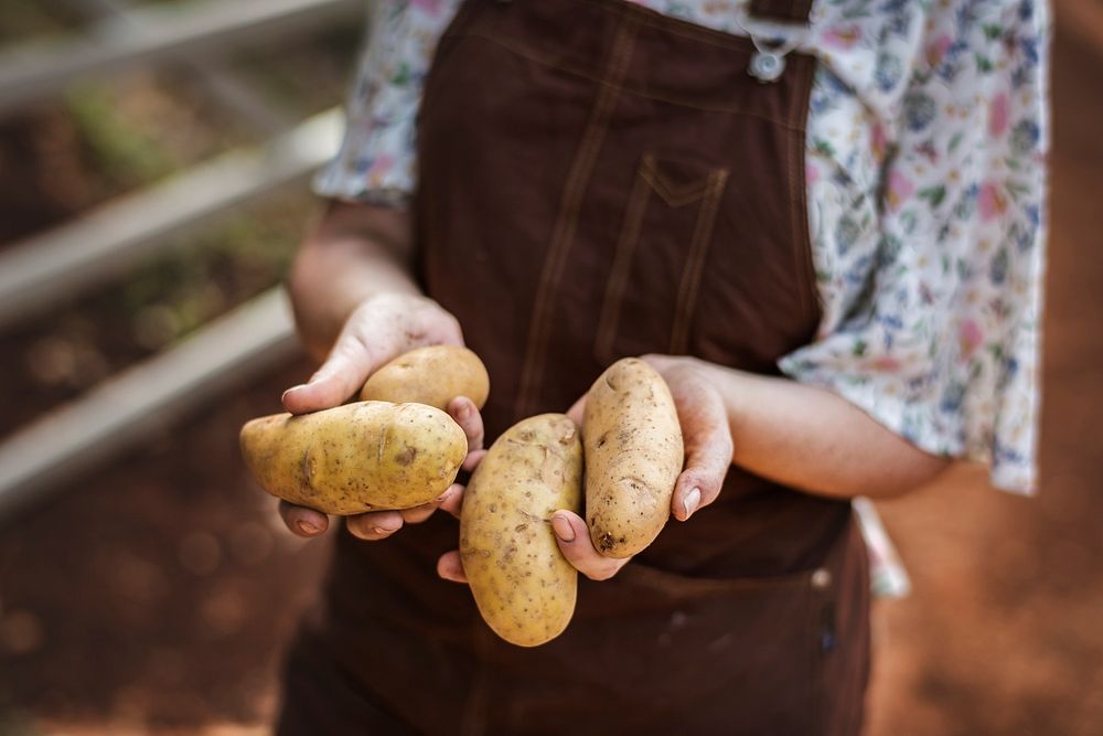 A woman holding potatoes photography recipe idea