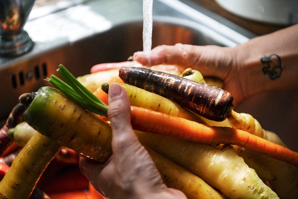 Chef cleaning carrots and turnips in the sink