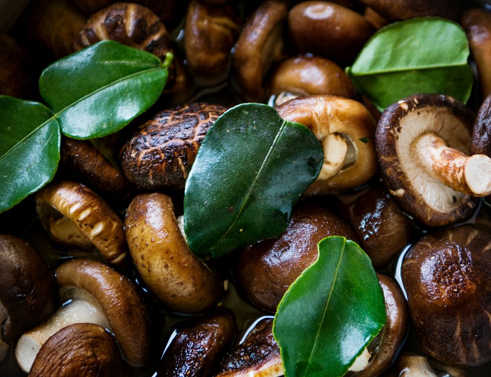 Mushroom close up food photography recipe idea