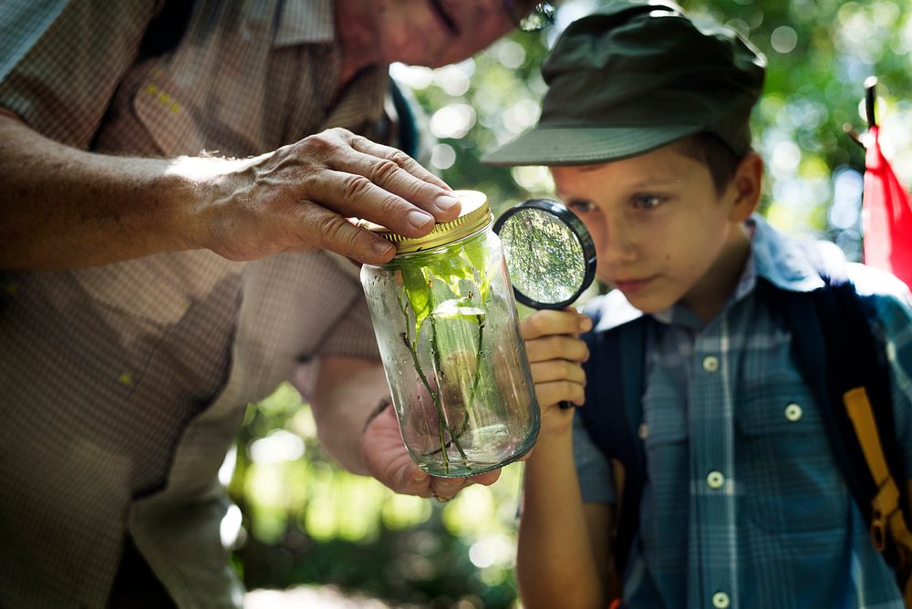Boy examining a plant with a magnifying glass
