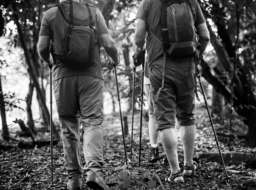Seniors trekking in a forest