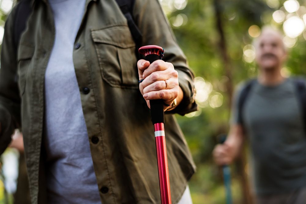 Seniors trekking in a forest