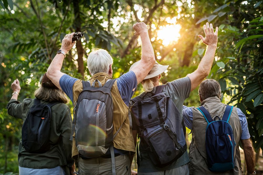 Group of senior adults trekking in the forest