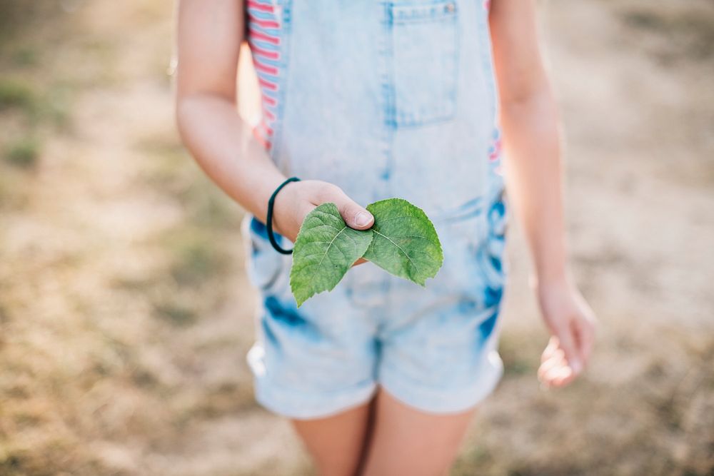 Closeup of girl holding leaves in her hand