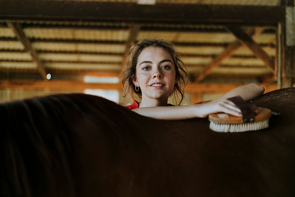 Girl grooming a chestnut horse