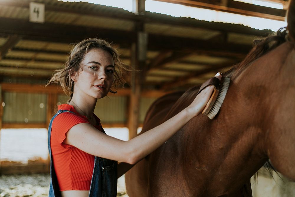 Girl grooming a chestnut horse