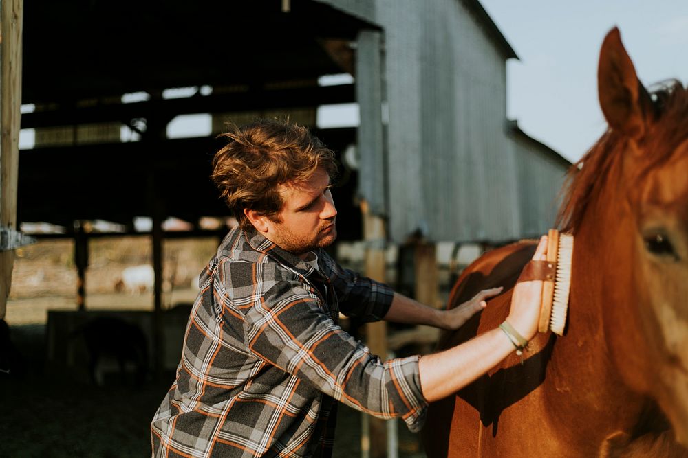 Young man grooming his horse