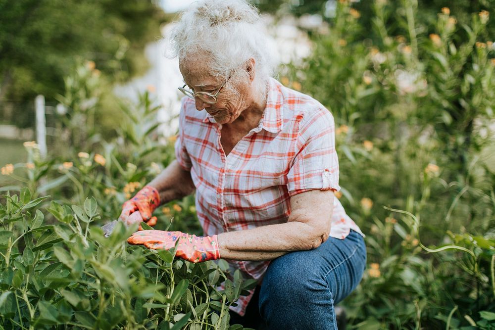 Senior woman tending to her garden
