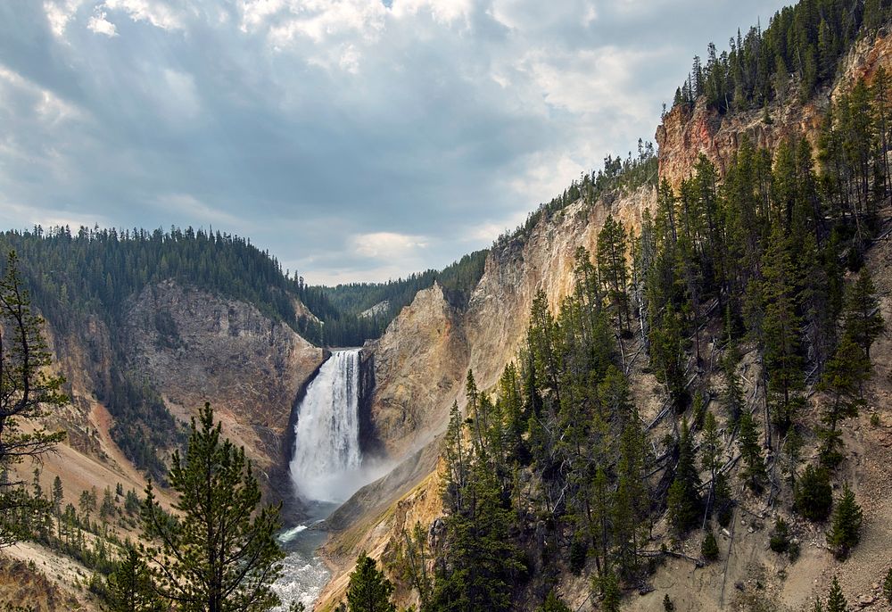 The mighty Lower Falls of the Yellowstone River in Yellowstone National Park in northwestern Wyoming. Falling 308 feet, they…
