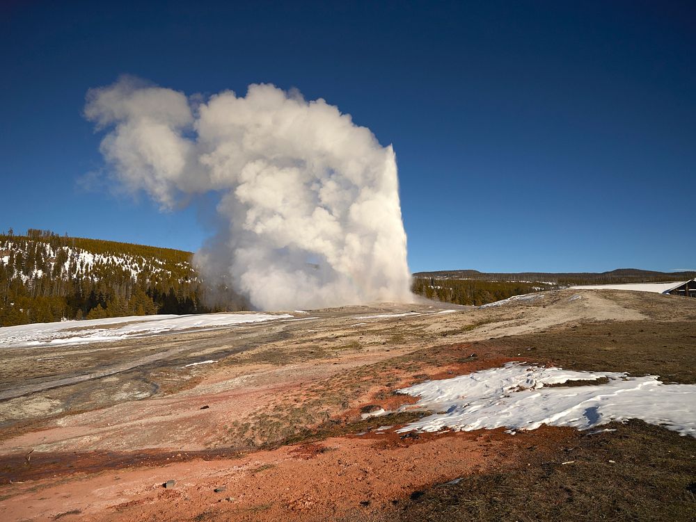 "Old Faithful" geyser erupts in Yellowstone National Park's Upper Geyser Basin in the western U.S. state of Wyoming.