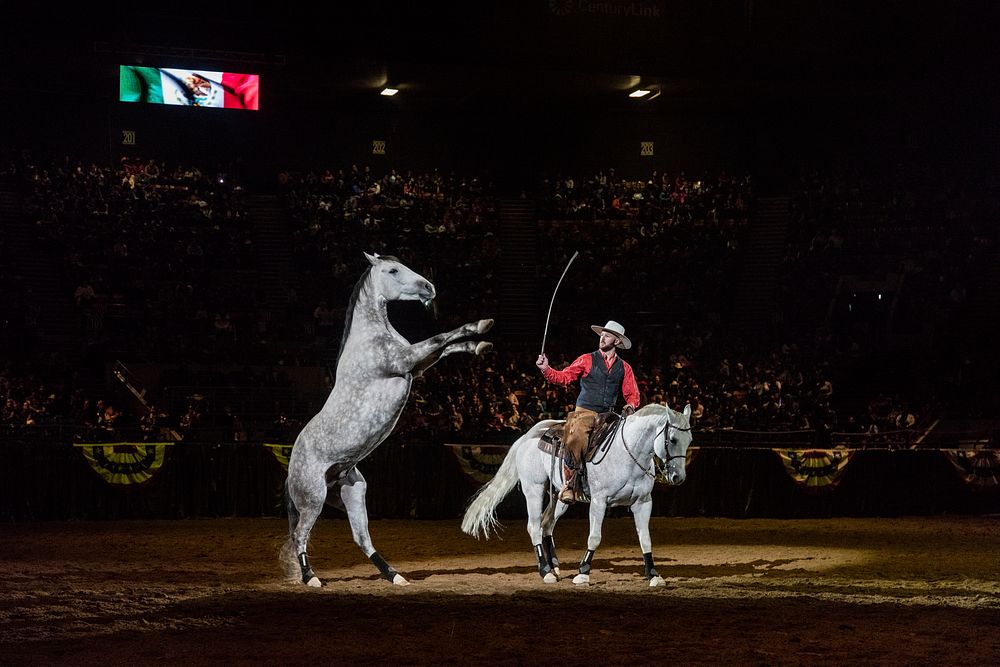 Australian horse trainer Dan James shows off his charges -- and his own equestrian skill -- at the Mexican Rodeo…