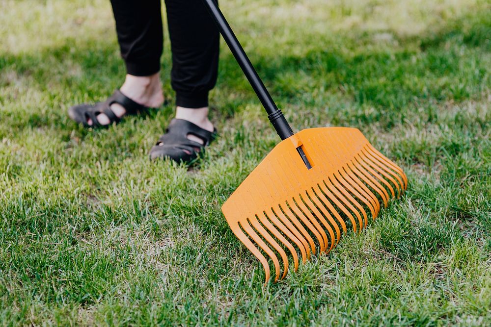 Closeup of woman raking her backyard