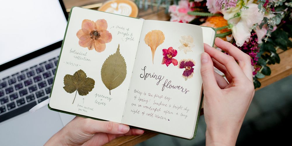 Notebook with pressed leaves and flowers