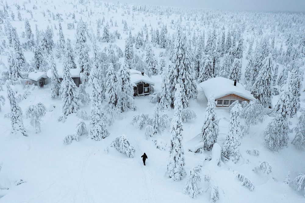 Wooden cabins in a snowy forest