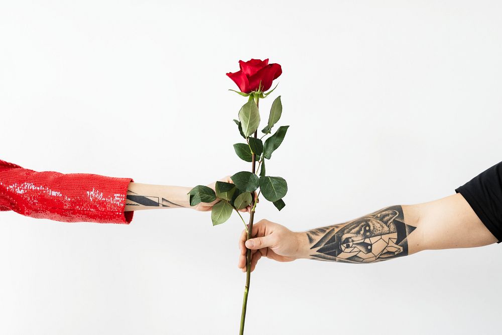 Man giving a rose to his lover 