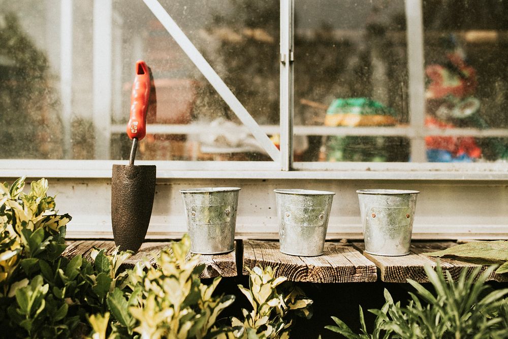 Plant pots with trowel on wooden table