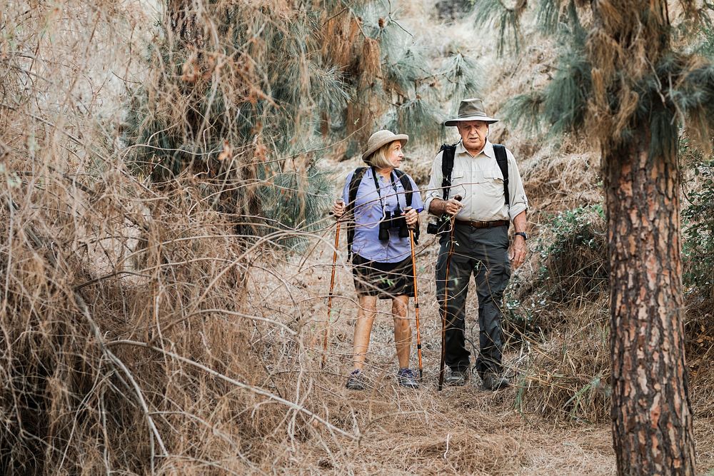 Active old couple on a date in the forest