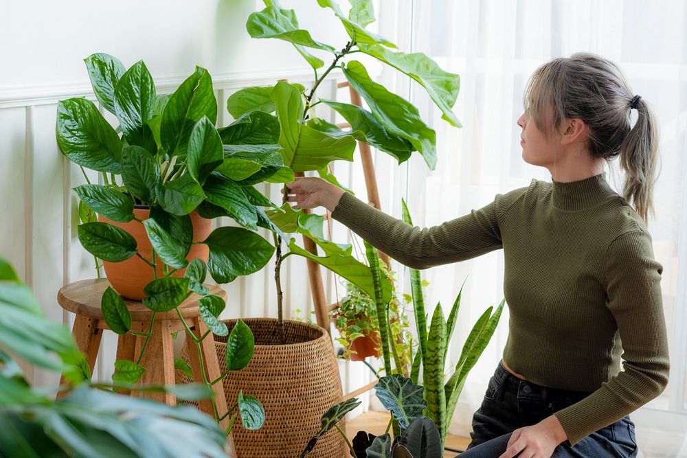 Woman tending and caring for her plant