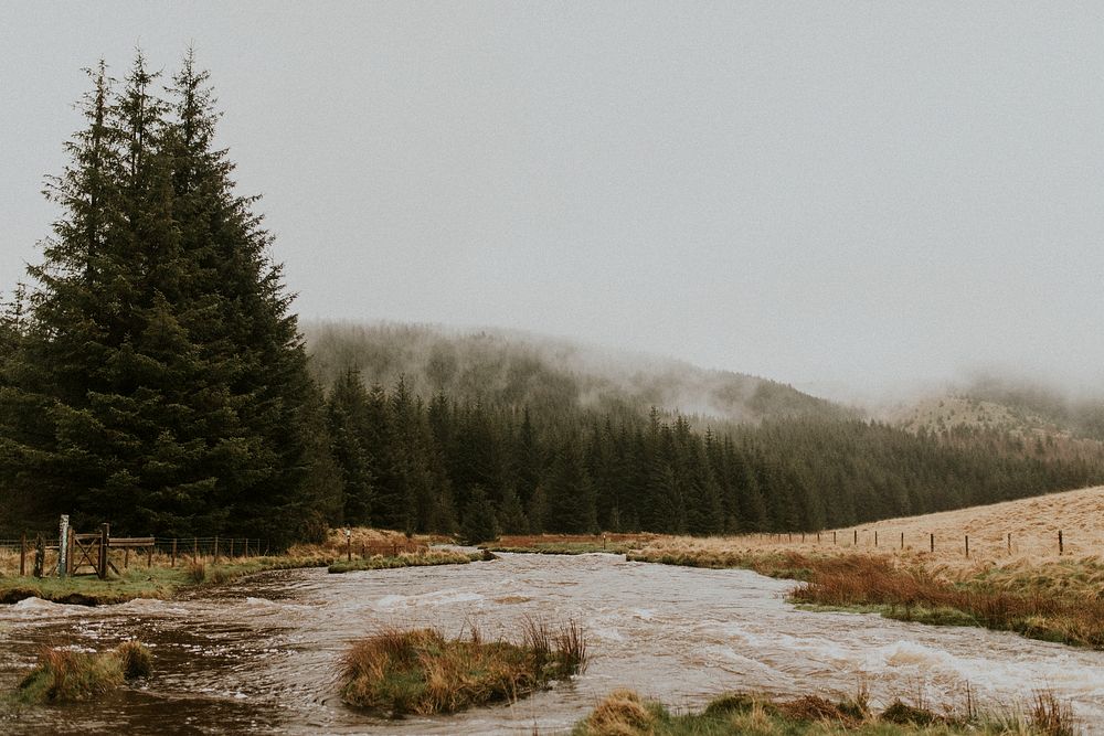 Water stream in a mountain landscape