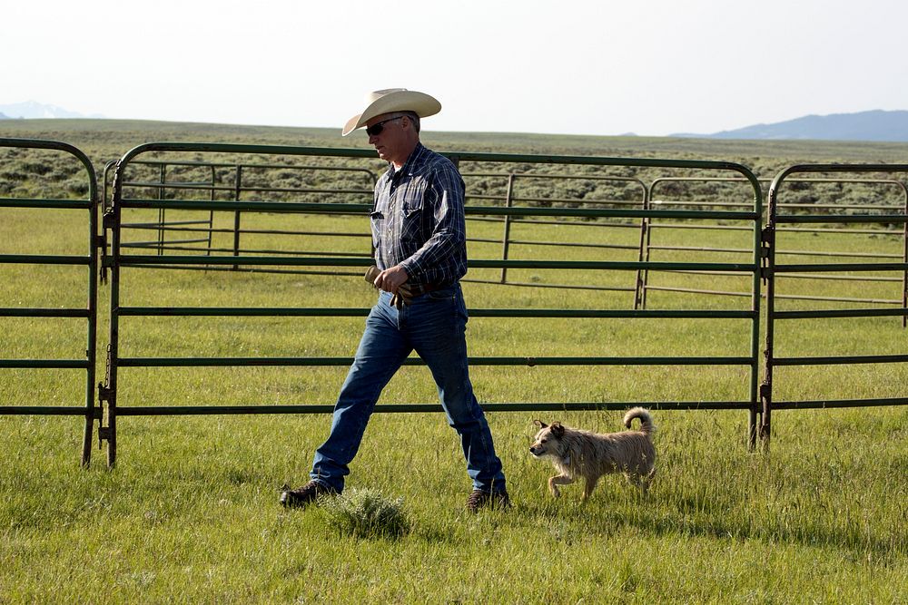 Ranch manager Mark Dunning strides the property in the company of the ever-present ranch mascot, Tater, at the Big Creek…