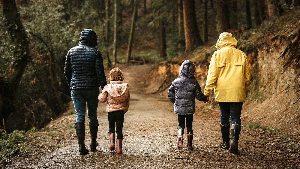 Mother walking with her daughters in the forest rear view