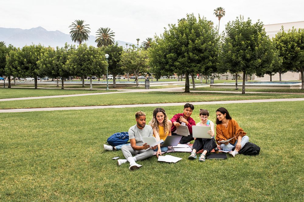 College students working together in the park