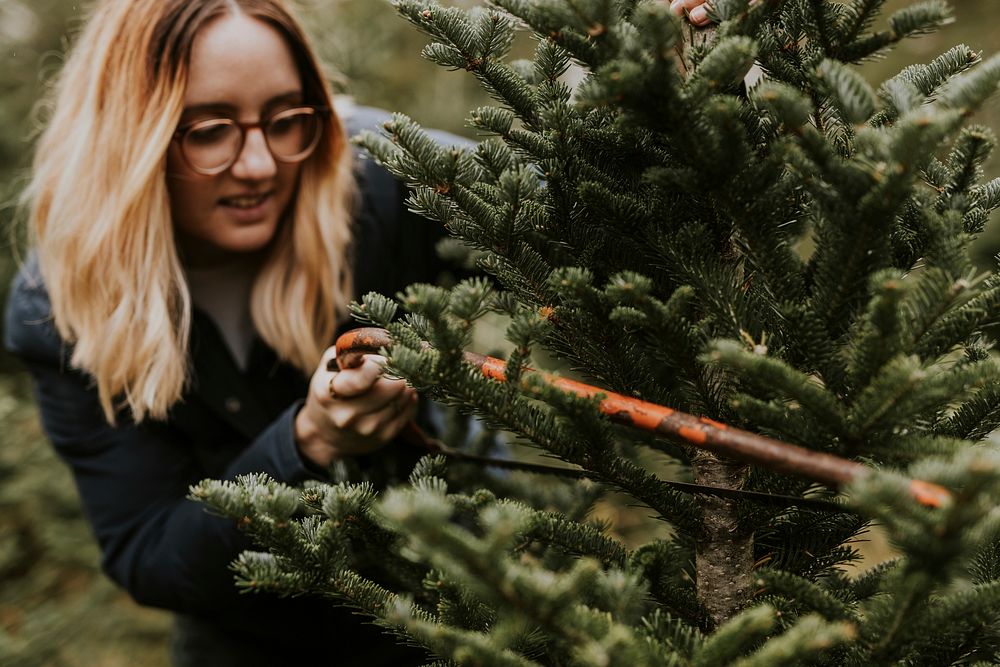 Woman sawing a Christmas tree at a Christmas tree farm 