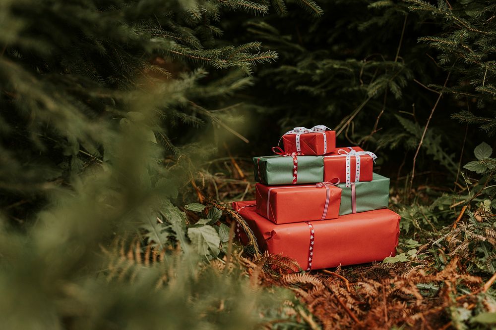 Christmas gift boxes under pine trees and bushes