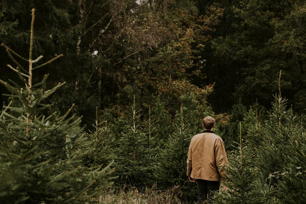 Man shopping for the perfect Christmas for Christmas holidays