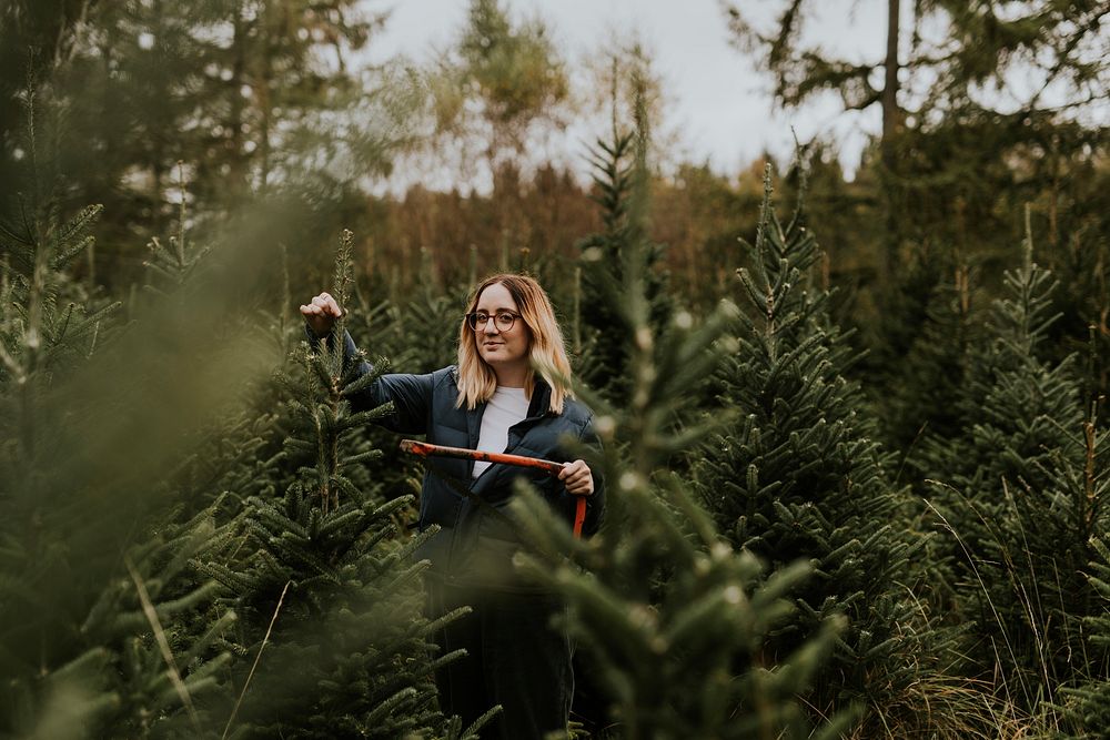 Woman cutting with a bow saw looking for a perfect Christmas tree at a Christmas tree farm
