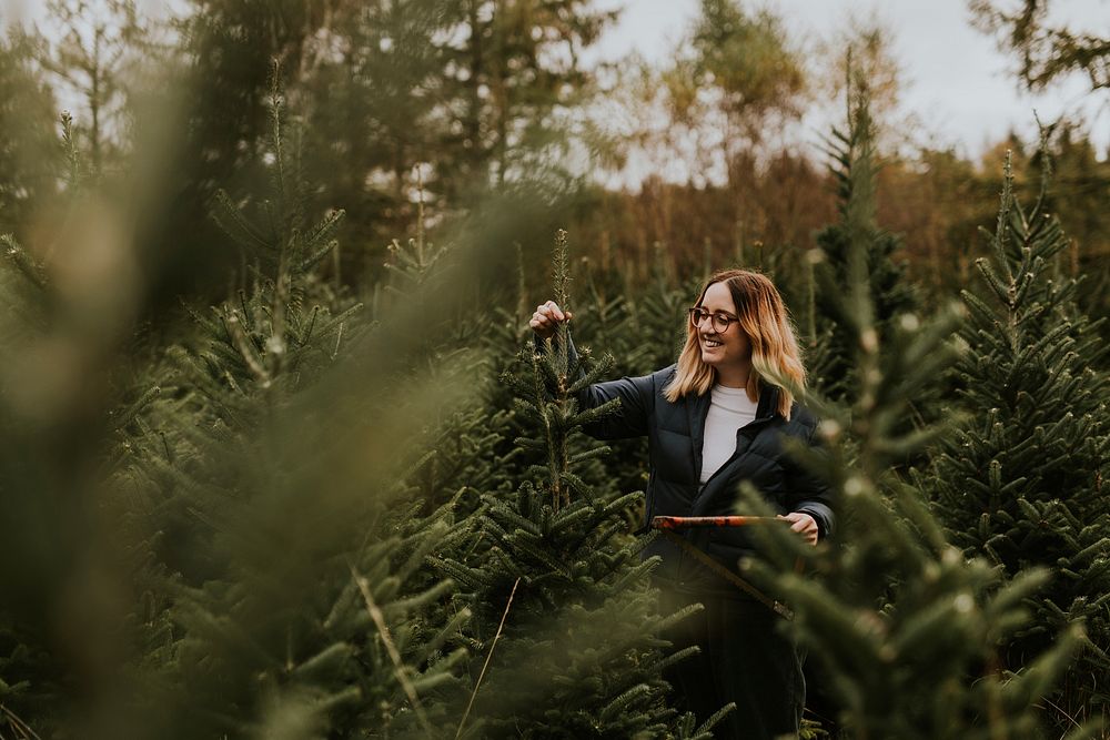 Woman cutting with a bow saw looking for a perfect Christmas tree at a Christmas tree farm