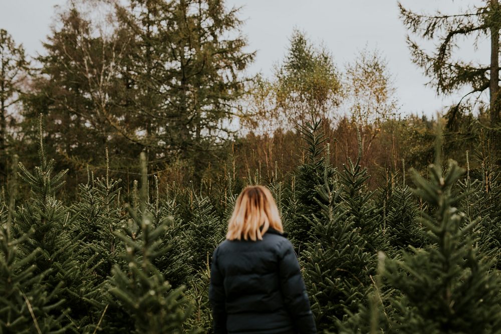 Woman's back at a Christmas pine tree farm