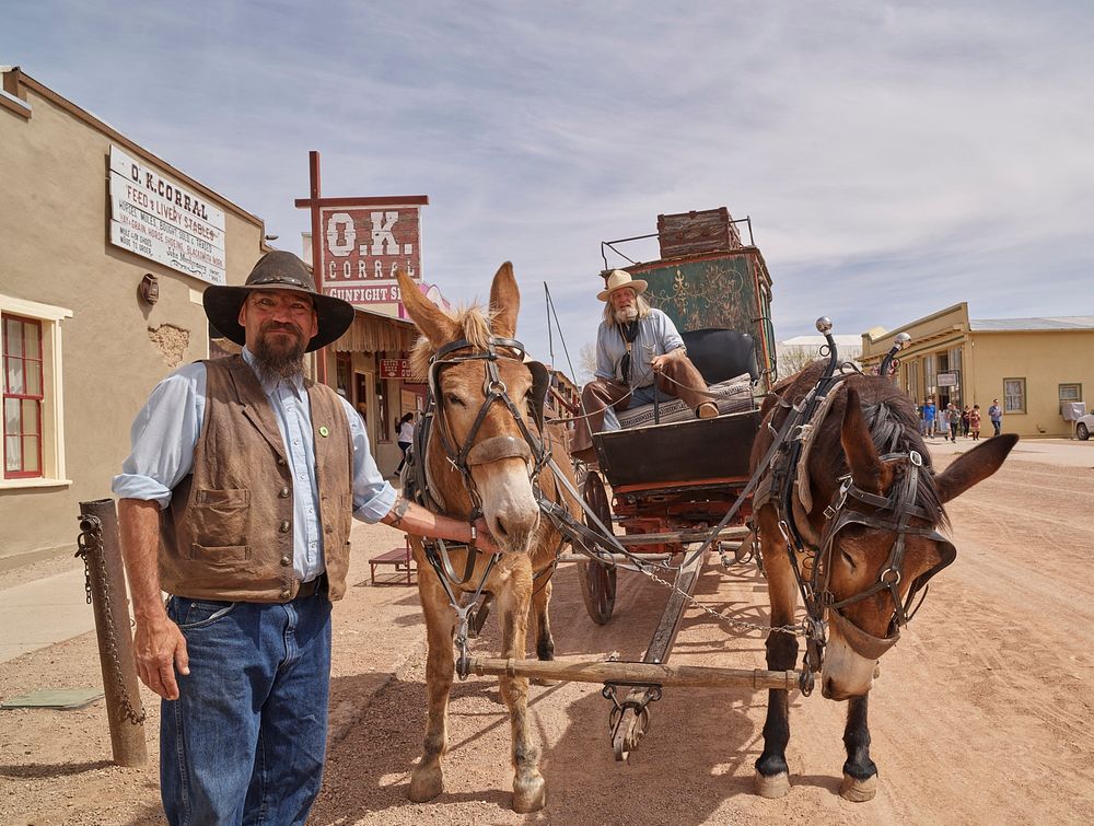 A mule-drawn stagecoach, its driver, and a handler near the famous O.K. Corral in Old Tombstone, now a tourist attraction in…