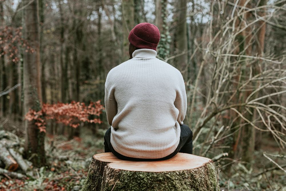 Man in beige turtleneck sweater sitting on tree trunk in autumn woods, rear view